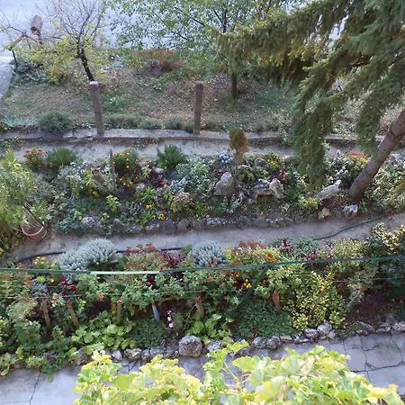 Flora Apartman Apartament