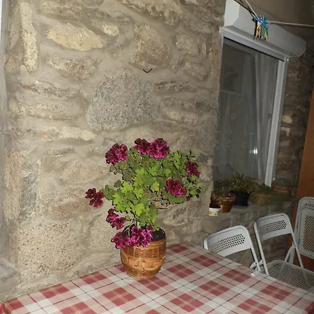 Apartament Flora Apartman *